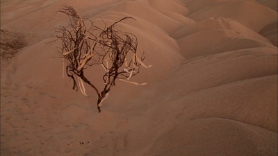 不情愿的英雄剧照的剧照