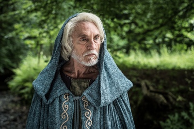 维京命运剧照的剧照