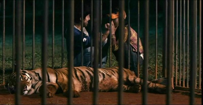 假装情侣剧照的剧照