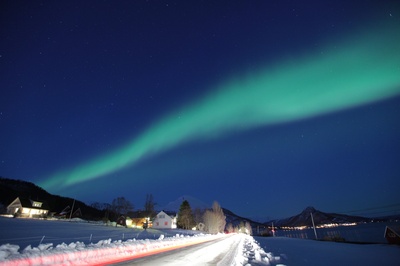 假装情侣剧照的剧照