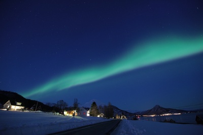 假装情侣剧照的剧照