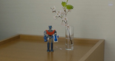 爱上谎言的女人剧照的剧照