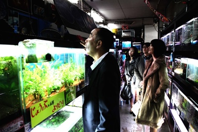 冰冷热带鱼剧照的剧照