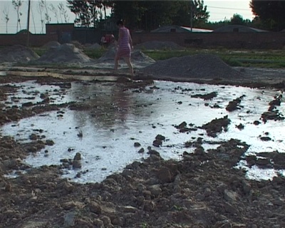 麦收剧照的剧照