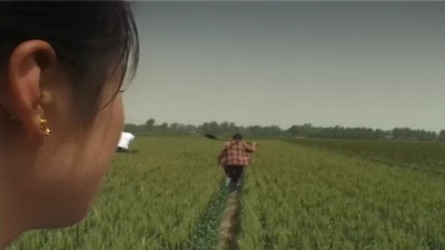 麦收剧照的剧照