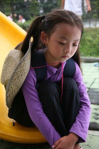 寻找酷巴熊剧照的剧照