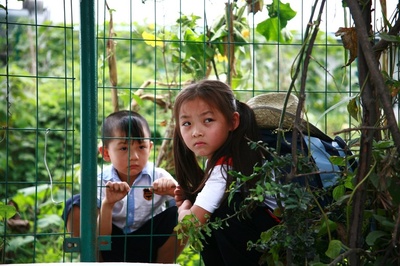 寻找酷巴熊剧照的剧照