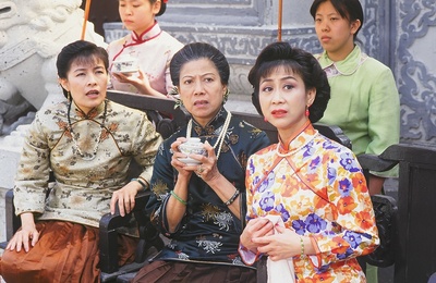 真假功夫剧照的剧照