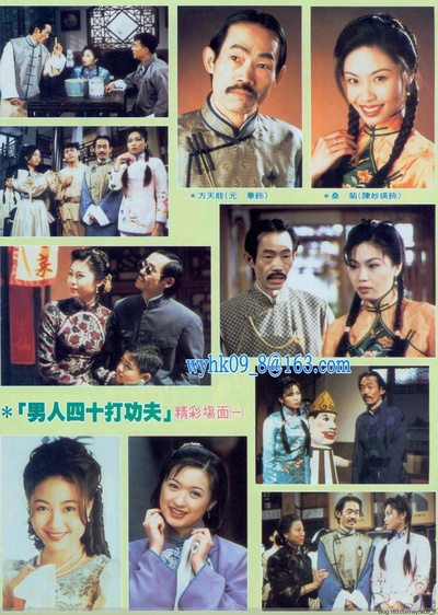 真假功夫剧照的剧照