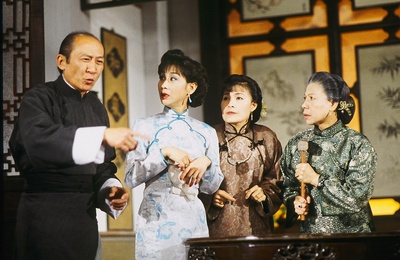 真假功夫剧照的剧照