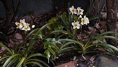 遗体〜面向明天的十天剧照的剧照