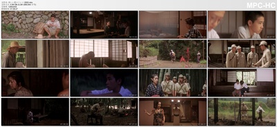 雾岛美丽的夏天剧照的剧照