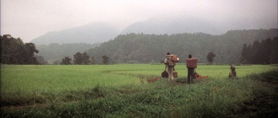 雾岛美丽的夏天剧照的剧照