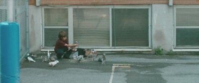 拉扎老师剧照的剧照