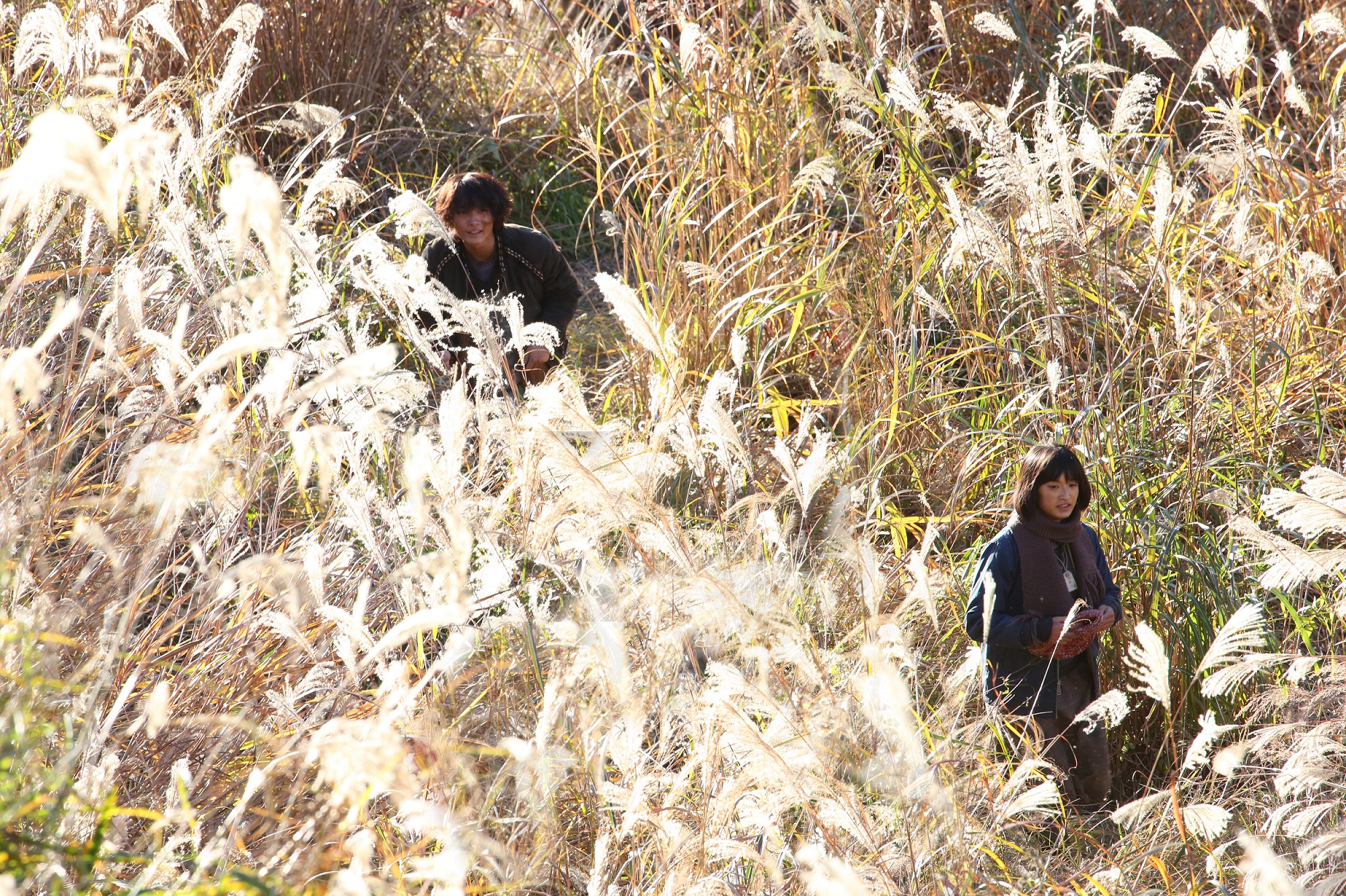 太阳剧照的剧照