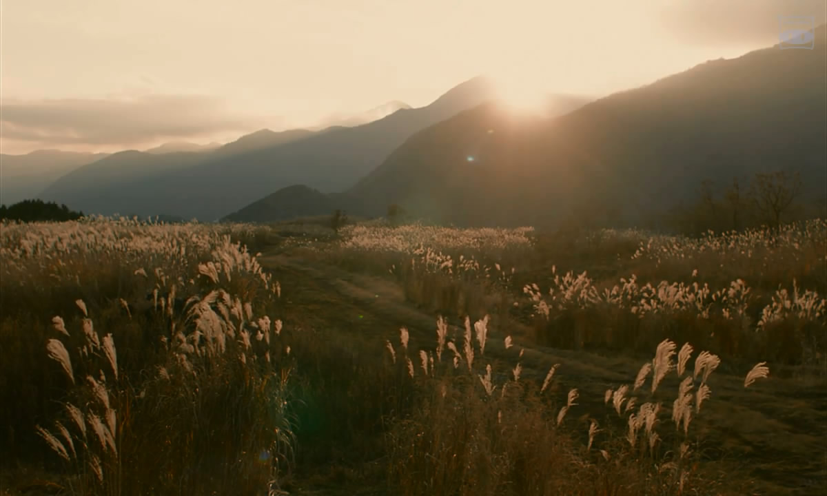 太阳剧照的剧照