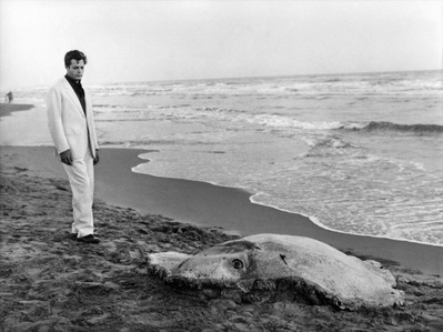 甜蜜的生活剧照的剧照