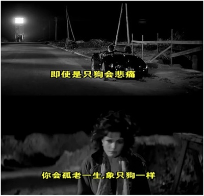 甜蜜的生活剧照的剧照