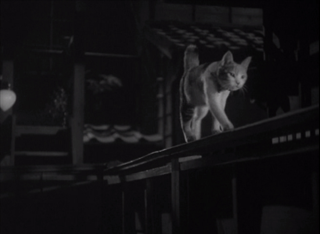 流浪记剧照的剧照