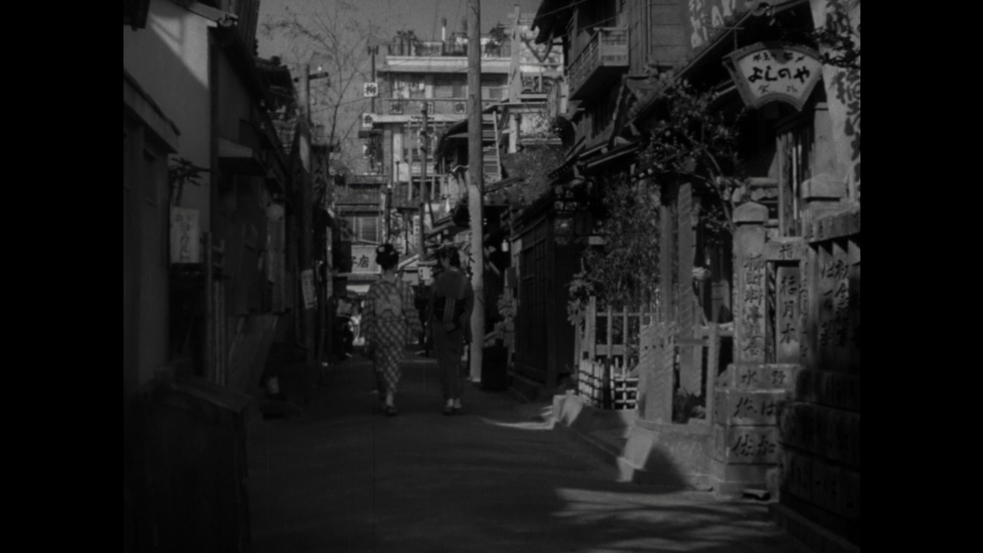 流浪记剧照的剧照