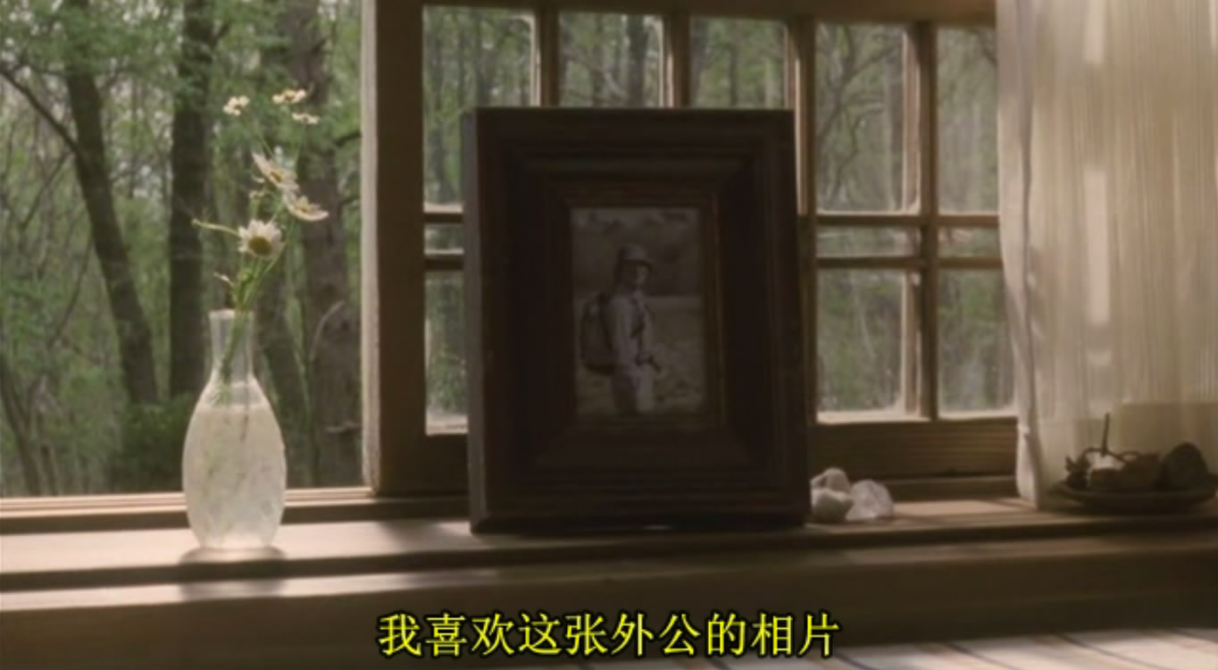 勿忘我剧照的剧照