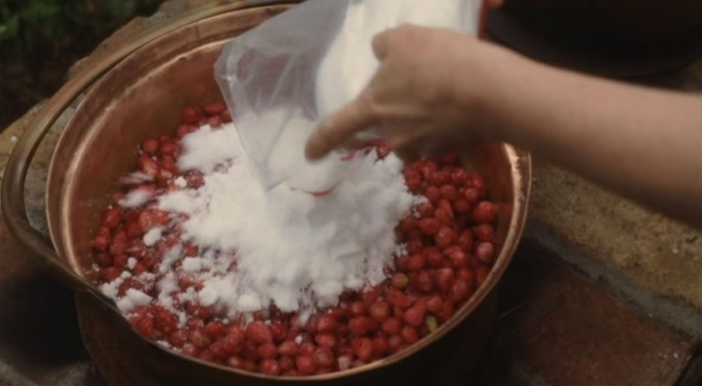 勿忘我剧照的剧照