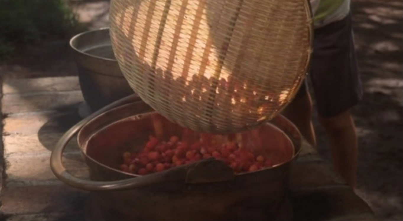 勿忘我剧照的剧照