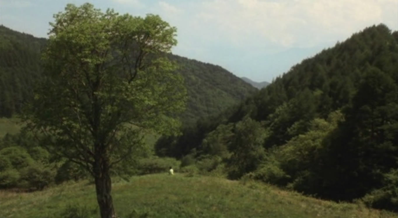 勿忘我剧照的剧照