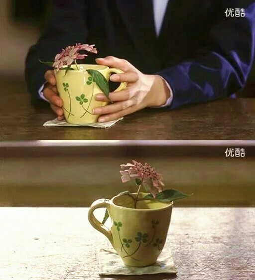 勿忘我剧照的剧照