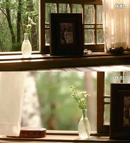 勿忘我剧照的剧照