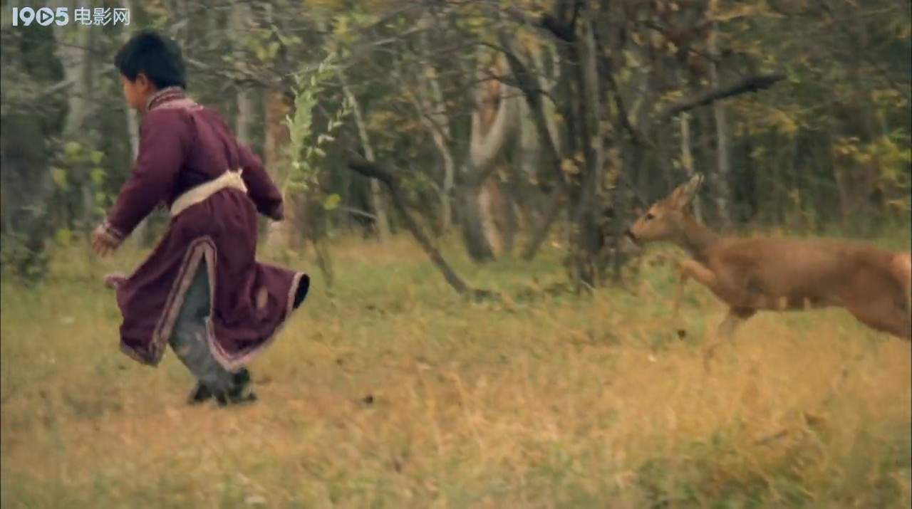 金秋鹿鸣剧照的剧照