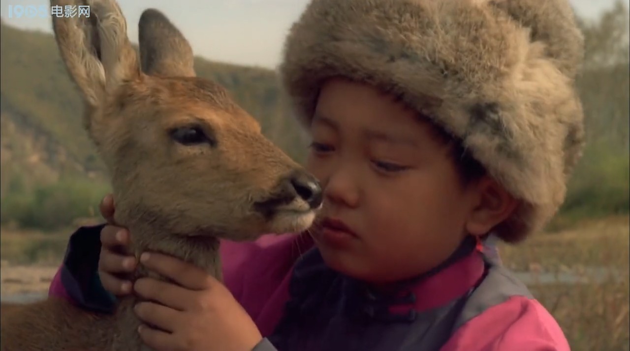 金秋鹿鸣剧照的剧照