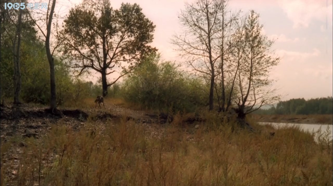 金秋鹿鸣剧照的剧照