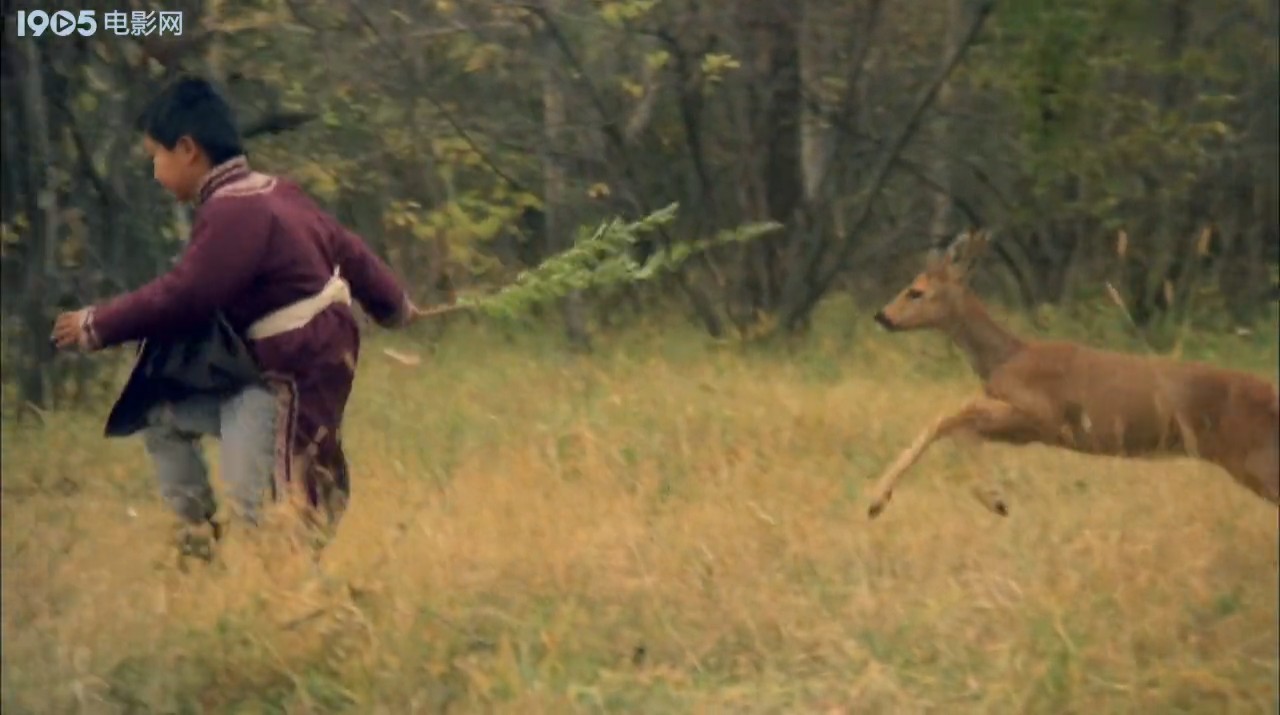 金秋鹿鸣剧照的剧照