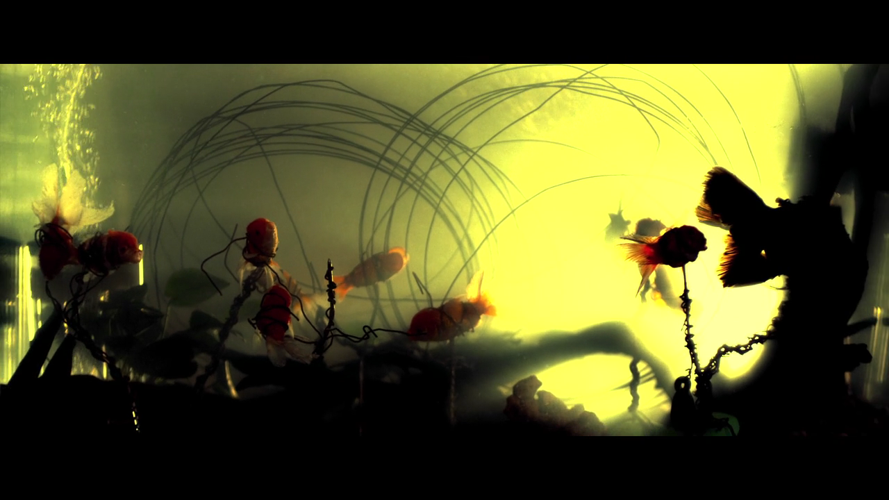 四非剧照的剧照