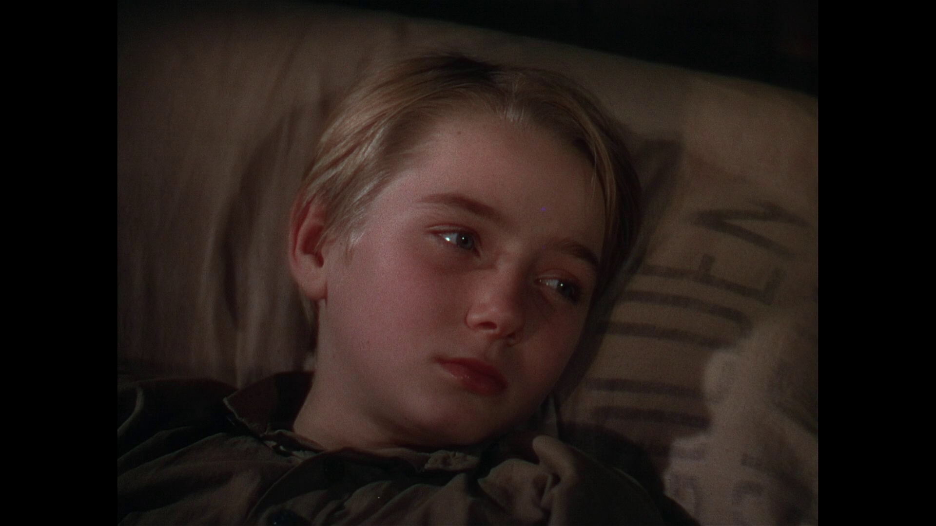 鹿苑长春剧照的剧照