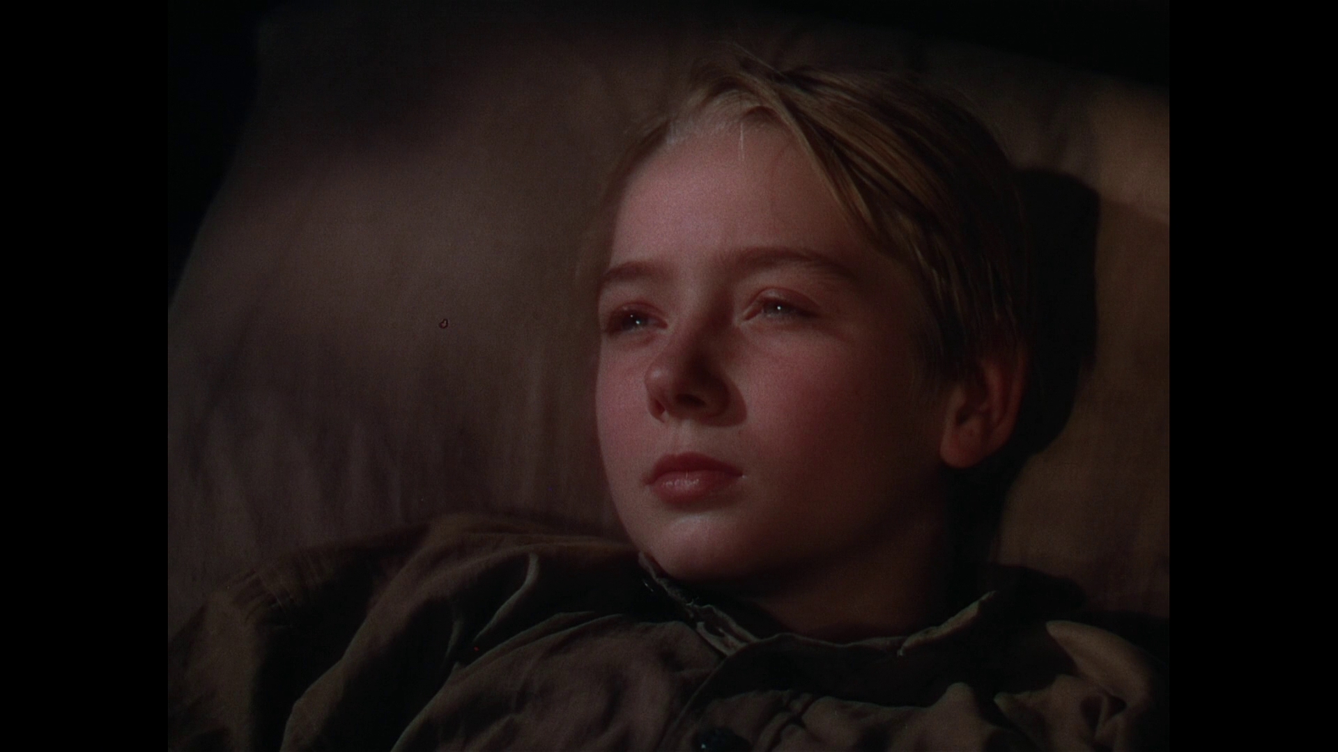 鹿苑长春剧照的剧照