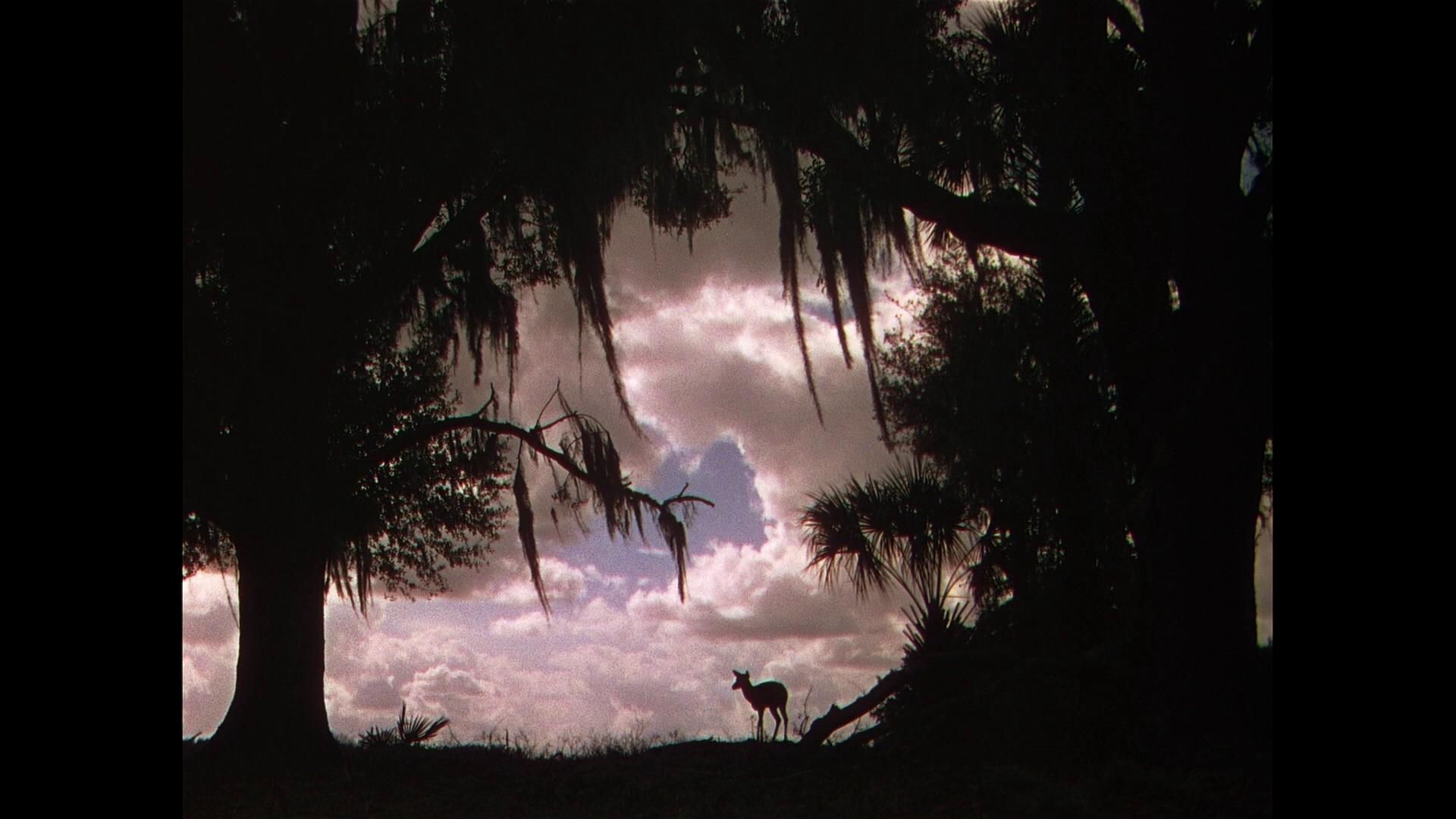 鹿苑长春剧照的剧照