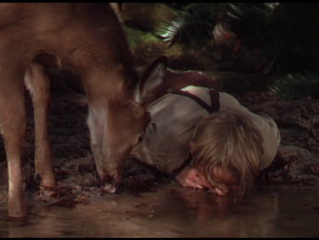 鹿苑长春剧照的剧照