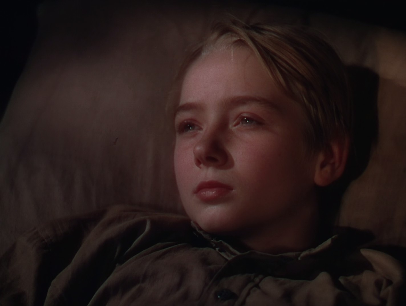 鹿苑长春剧照的剧照