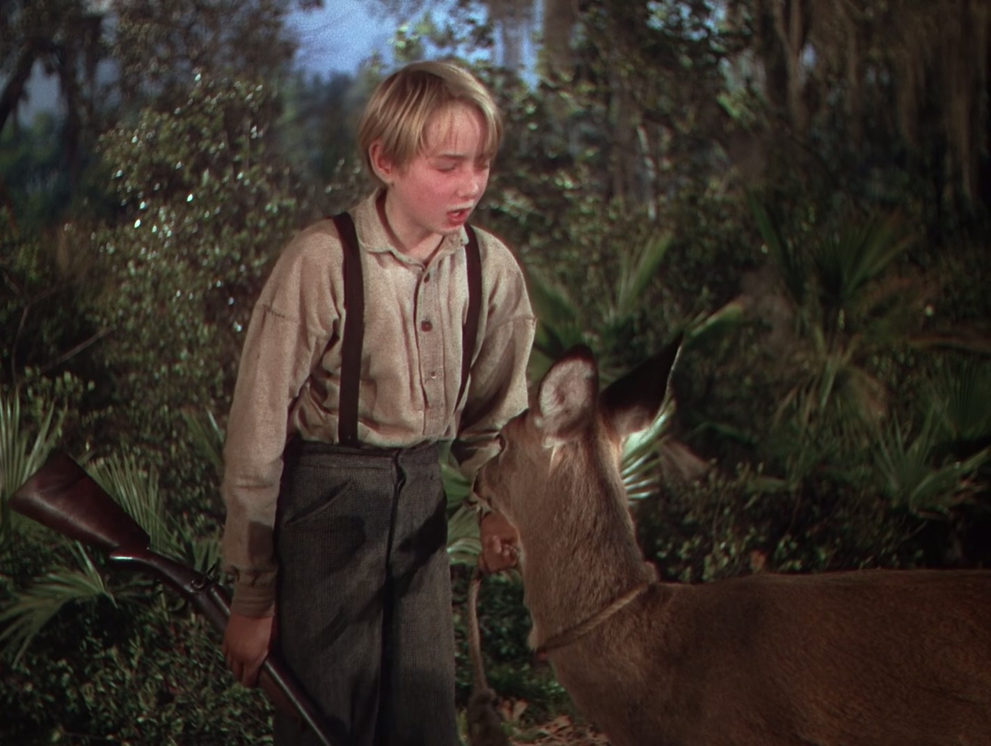 鹿苑长春剧照的剧照