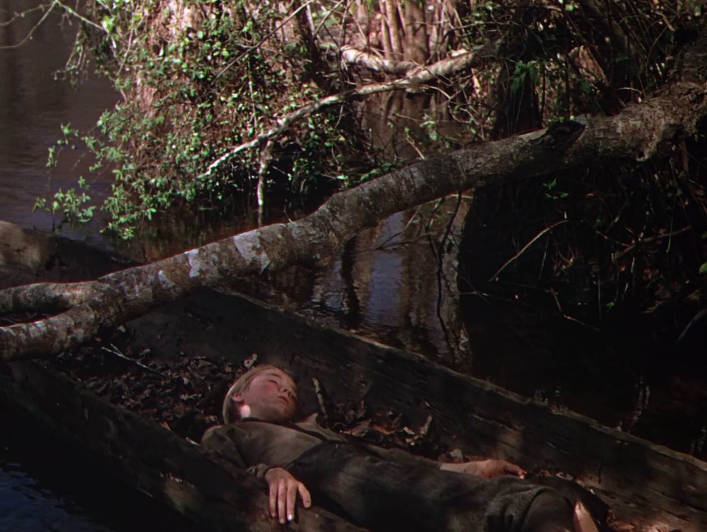 鹿苑长春剧照的剧照