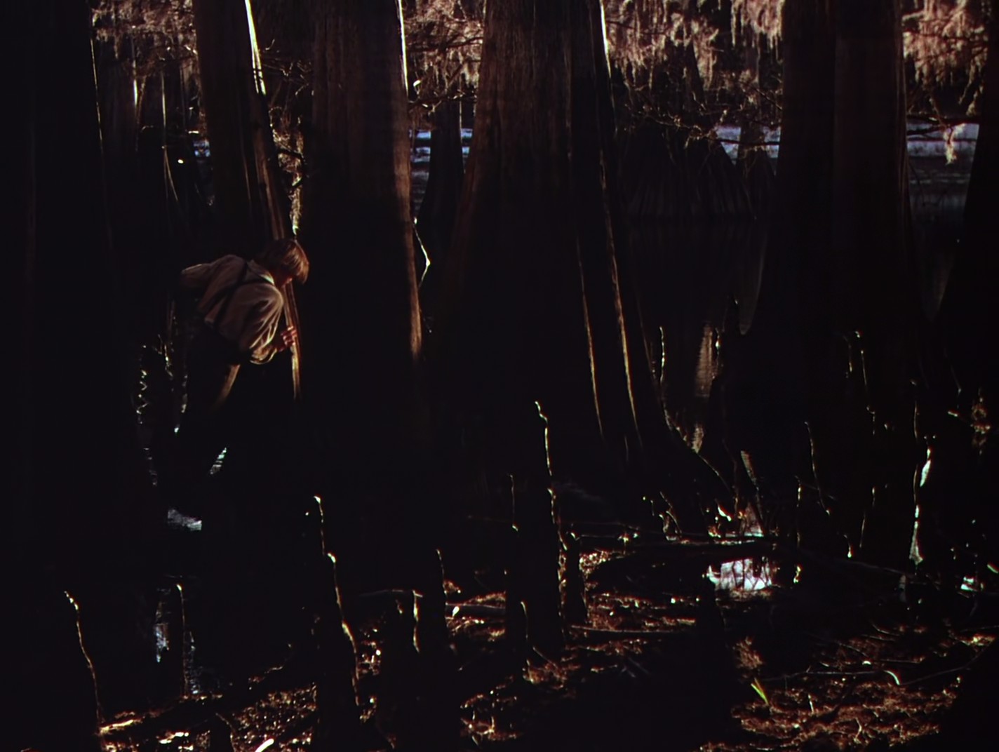 鹿苑长春剧照的剧照