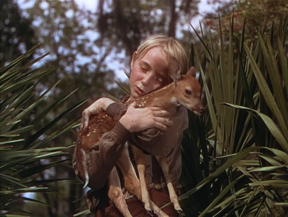 鹿苑长春剧照的剧照