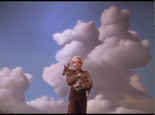 鹿苑长春剧照的剧照