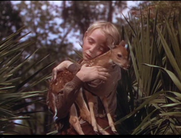 鹿苑长春剧照的剧照