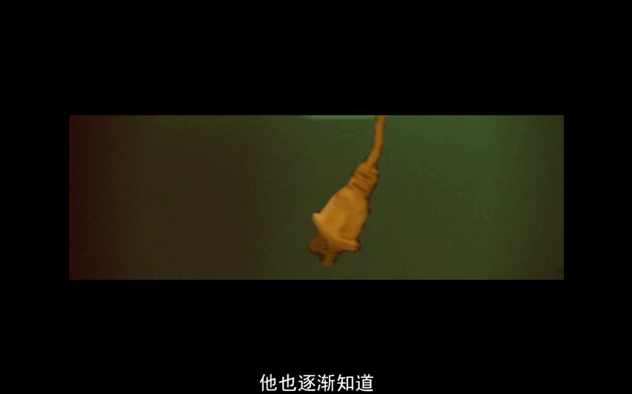 李献计历险记剧照的剧照