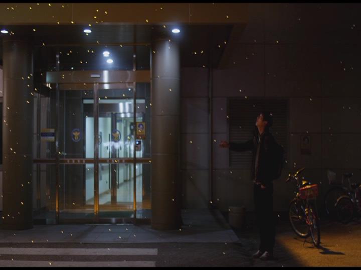 夜间飞行剧照的剧照