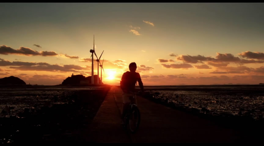 夜间飞行剧照的剧照