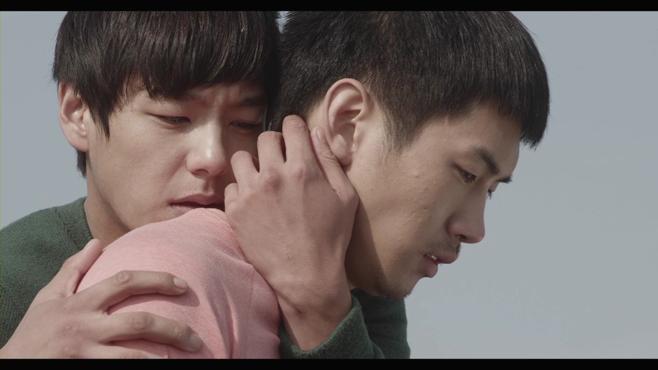 夜间飞行剧照的剧照